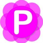 Pamela for Skype